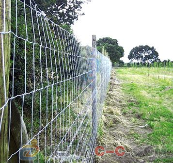 養殖場/養雞場護欄網 選擇、價格與專業廠家指南